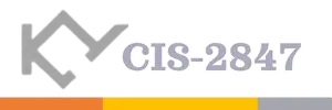 cis2847 Logo